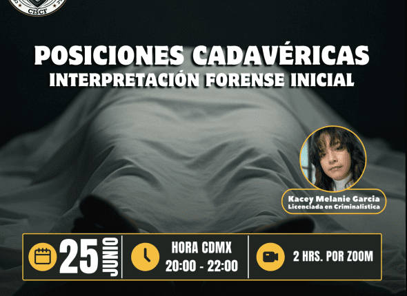 Captura de pantalla 2025-06-25 a las 3.41.33 p. m.